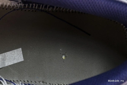 Purple Tones” Low 1 “Covered Jordan 1202